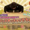 TOKAI RADIO 公開収録イベント「みつ吉とSKE48の愉快な仲間たち！みつ吉フェスやっちゃうでちょっ！Part3」開催告知ビジュアル。1月11日、中日ホールで開催予定。