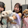 「わんにゃんドーム2026」のステージに愛犬と共に登壇したSKE48相川暖花、浅井裕華、森本くるみ ニュースイメージ