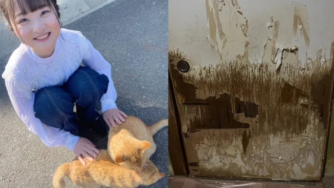 SKE48池田楓が実家の頑張り過ぎてる襖を公開し話題！大量の猫が住む猫屋敷のリアル