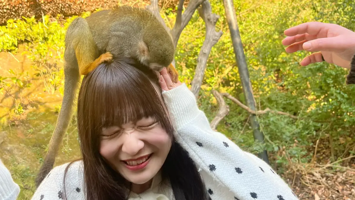 池田楓、リスザルと多分仲良しになる